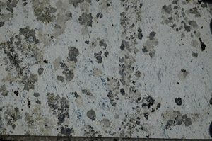 Cross Polarized, N9403