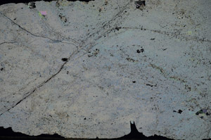 Cross Polarized, N9408