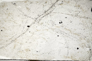 Plane Polarized, N9408