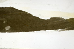 Plane Polarized, N9448
