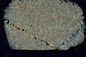 Cross Polarized, N9471