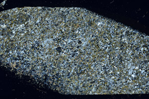 Cross Polarized, N9475