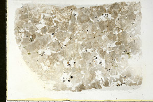 Plane Polarized, N9497