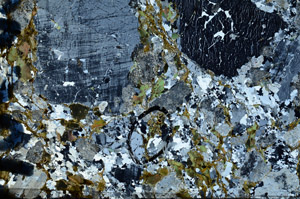 Cross Polarized, N9523/C