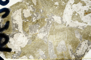 Plane Polarized, N9538