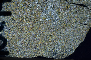 Cross Polarized, N9566