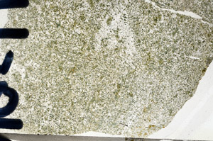 Plane Polarized, N9566