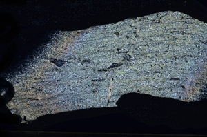 Cross Polarized, N9596