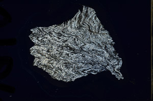 Cross Polarized, N9600