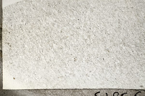 Plane Polarized, N9608