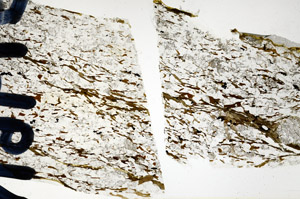 Plane Polarized, N9615