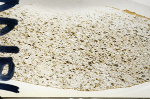 Plane Polarized, N9644