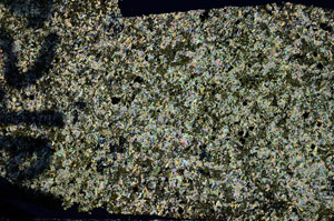 Cross Polarized, N9653