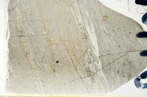 Plane Polarized, N9668