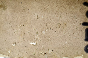 Plane Polarized, N9672