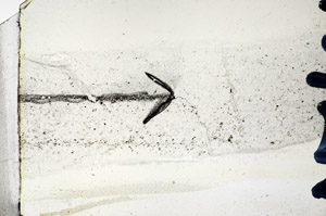 Plane Polarized, N9674