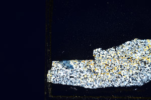 Cross Polarized, N9682