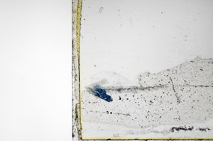 Plane Polarized, N9682