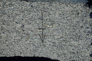 Cross Polarized, N9741/A