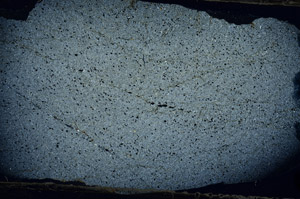Cross Polarized, N9800