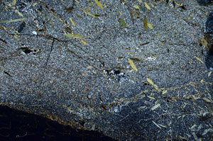 Cross Polarized, N9803