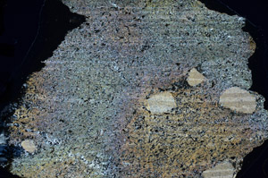 Cross Polarized, N9817/B