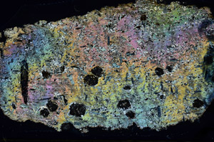 Cross Polarized, N9828