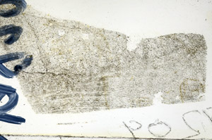 Plane Polarized, N9832