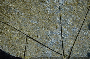 Cross Polarized, N9841