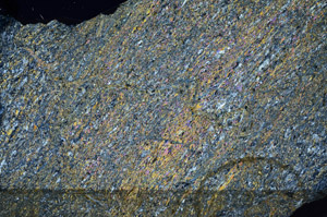 Cross Polarized, N9858