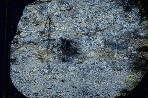 Cross Polarized, N9865/A