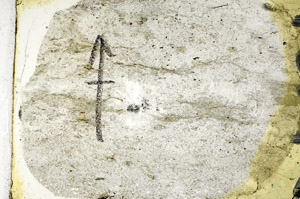 Plane Polarized, N9865/A