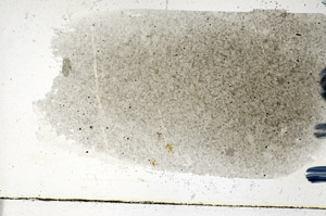Plane Polarized, N9866