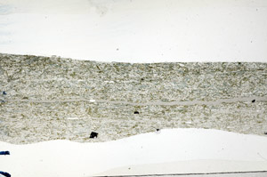Plane Polarized, N9877