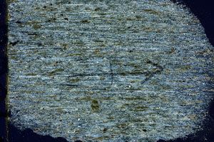 Cross Polarized, N9882
