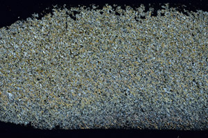 Cross Polarized, N9884