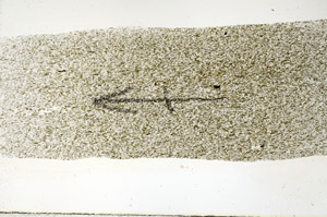Plane Polarized, N9885