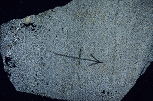 Cross Polarized, N9886