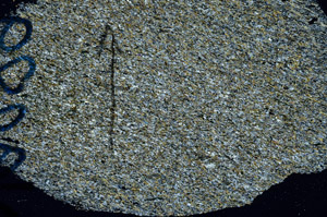 Cross Polarized, N9889