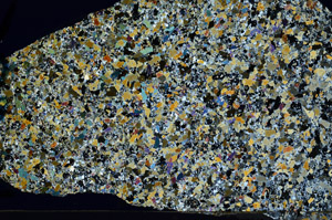 Cross Polarized, N9895