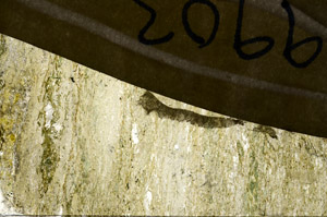 Plane Polarized, N9903