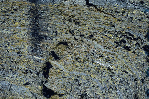 Cross Polarized, N9920