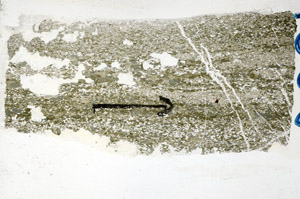 Plane Polarized, N9923
