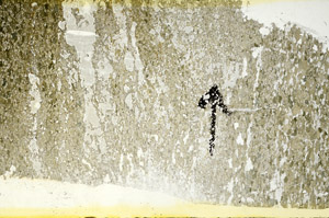 Plane Polarized, N9927