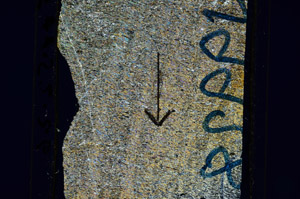 Cross Polarized, N9928