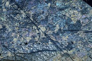 Cross Polarized, N9932