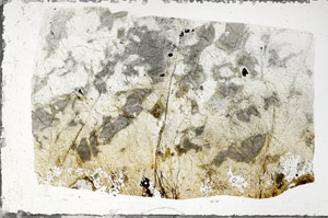 Plane Polarized, N9933