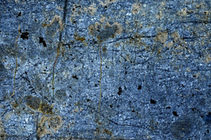 Cross Polarized, N9936