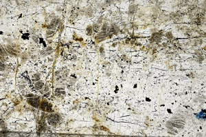 Plane Polarized, N9936