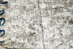 Plane Polarized, N9936/A